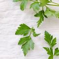 fresh parsley