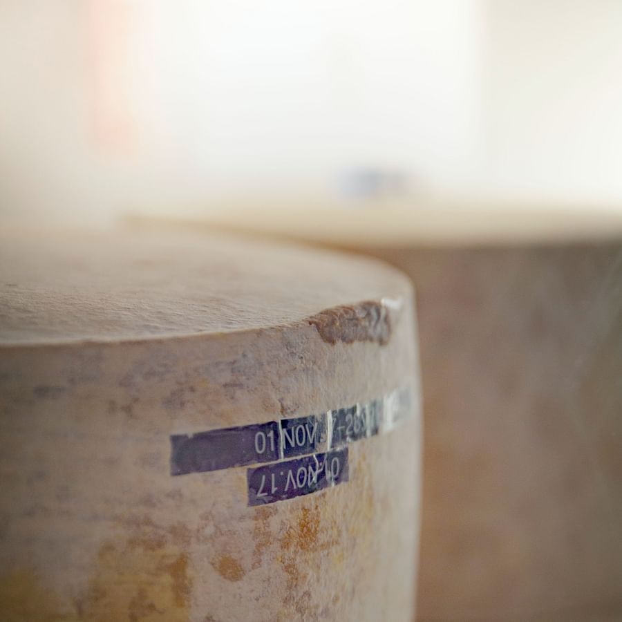 Beautifully arranged cheese board with variety of cheeses and accompaniments