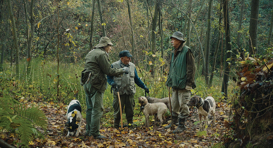 Vintage illustration of truffle hunting in Italy