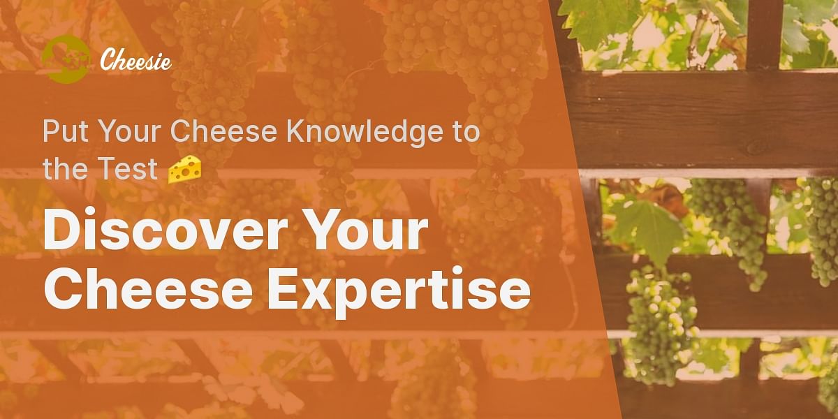 Cheese Connoisseur Quiz Test Your Knowledge About Delicious Cheeses