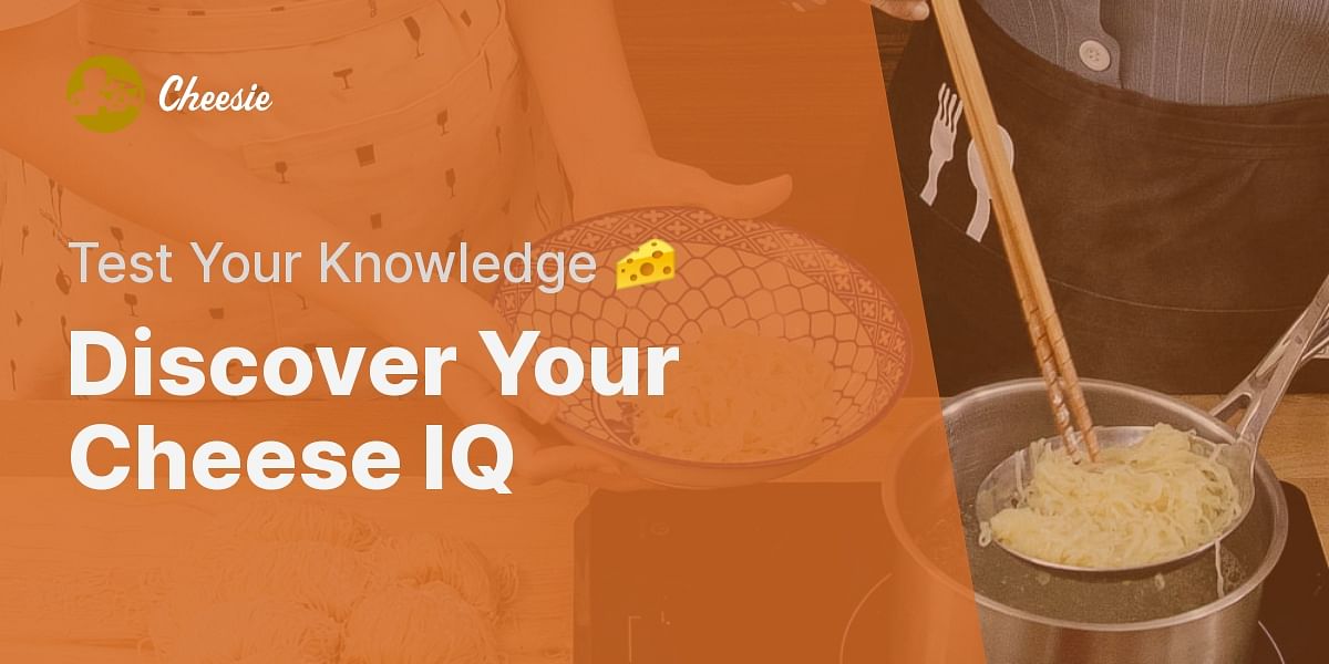 Processed Cheese Usage Quiz Test Your Knowledge Cheesie