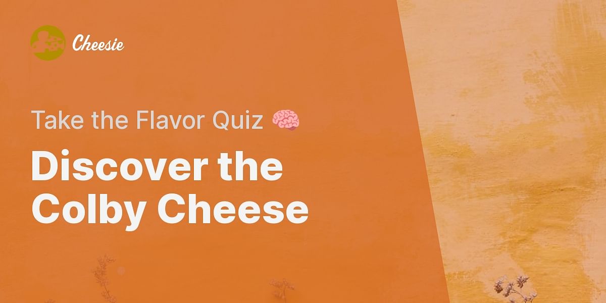 Discover the Flavor Profile of Colby Cheese Cheesie